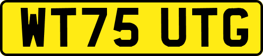 WT75UTG