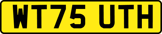 WT75UTH