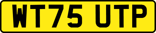 WT75UTP