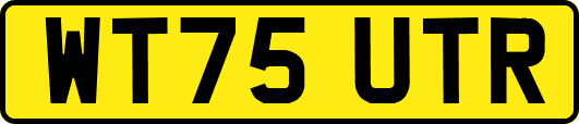 WT75UTR