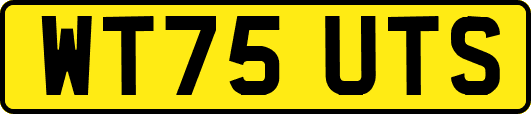 WT75UTS