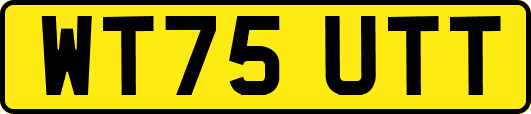 WT75UTT