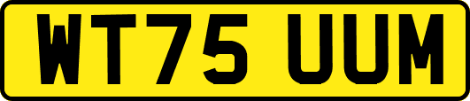 WT75UUM