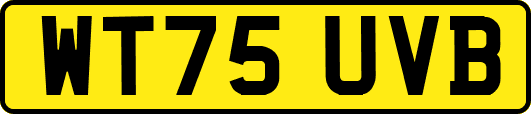 WT75UVB