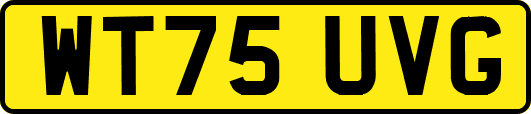 WT75UVG