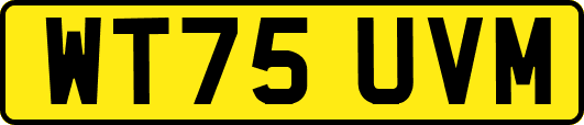 WT75UVM