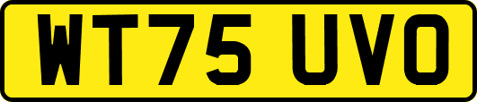 WT75UVO