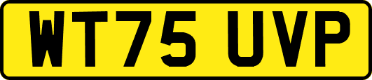 WT75UVP