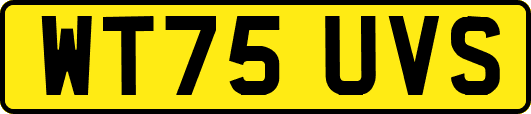 WT75UVS