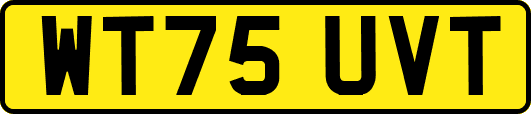 WT75UVT