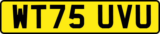 WT75UVU