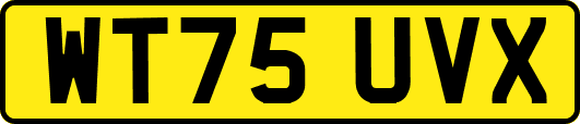 WT75UVX