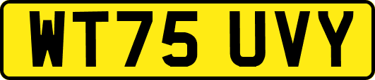 WT75UVY