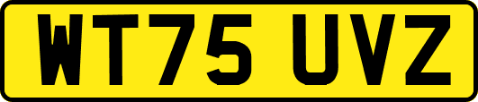 WT75UVZ