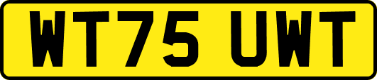 WT75UWT