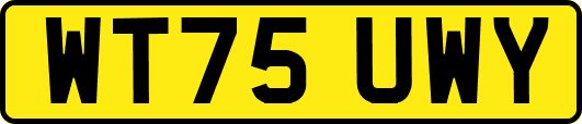 WT75UWY
