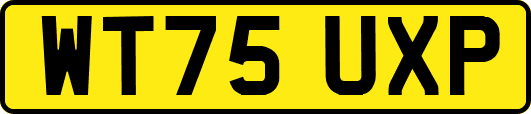WT75UXP