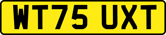WT75UXT