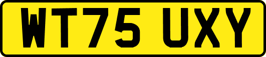 WT75UXY