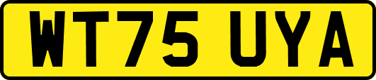 WT75UYA