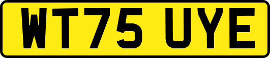 WT75UYE