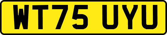 WT75UYU