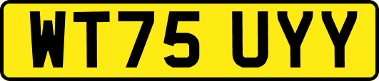 WT75UYY