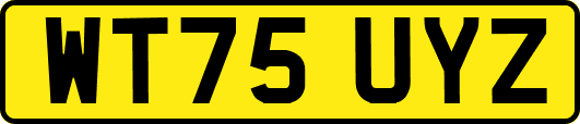 WT75UYZ