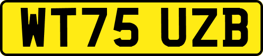 WT75UZB