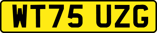 WT75UZG