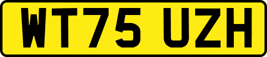 WT75UZH