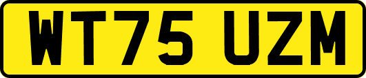 WT75UZM