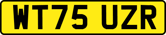 WT75UZR