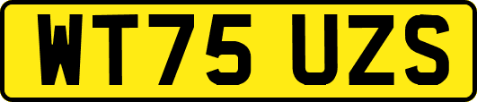 WT75UZS