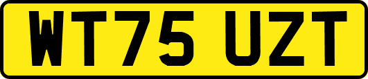 WT75UZT