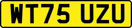 WT75UZU