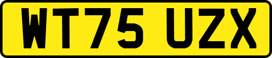 WT75UZX