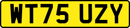 WT75UZY