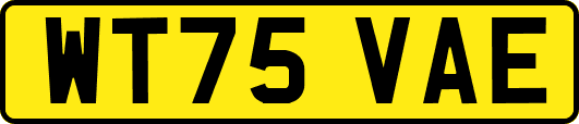 WT75VAE