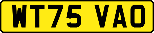 WT75VAO
