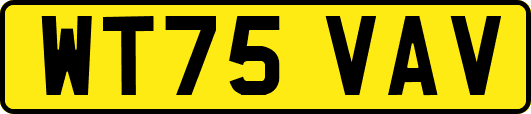 WT75VAV