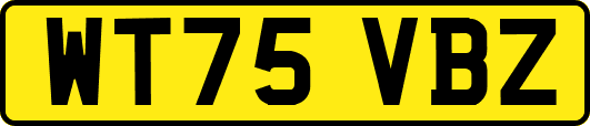 WT75VBZ