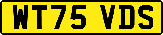 WT75VDS