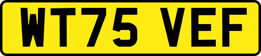WT75VEF