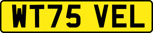 WT75VEL