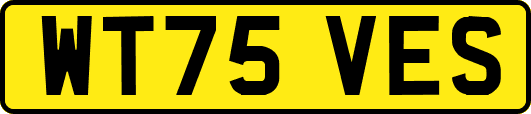 WT75VES