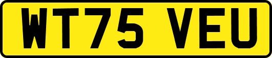 WT75VEU