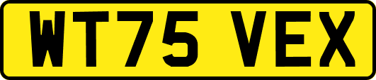 WT75VEX