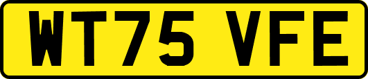 WT75VFE