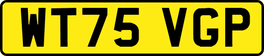 WT75VGP